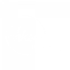 Logo Vakom Blanc